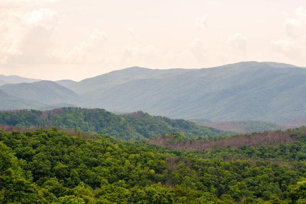Mountains in Gatlinburg, TN