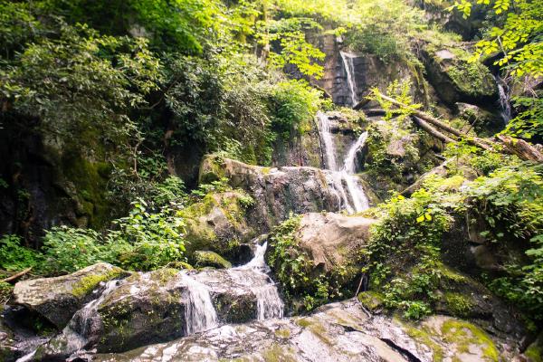 Waterfall in Gatlinburg, TN
