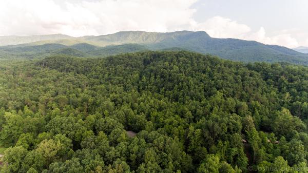 Treetops in Gatlinburg, TN