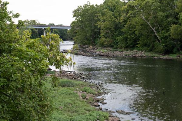 Holston River (Kingsport, TN)
